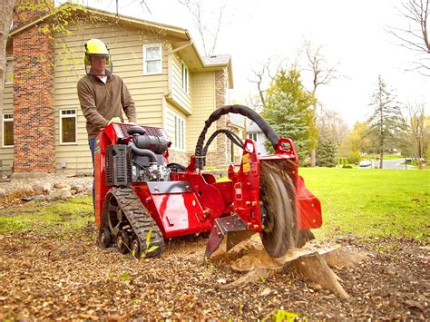 using a rented stump grinder